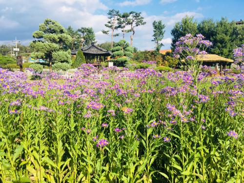 농심테마공원 이미지