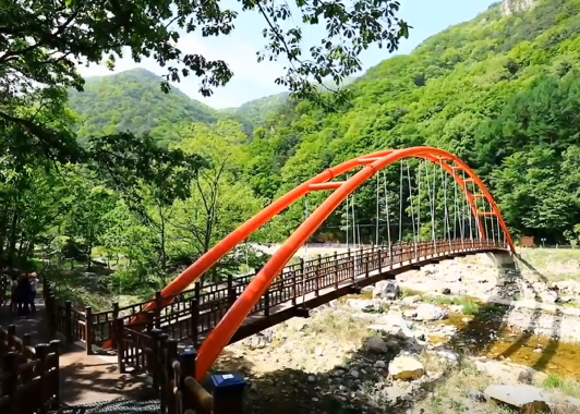 장령산자연휴양림의 이미지