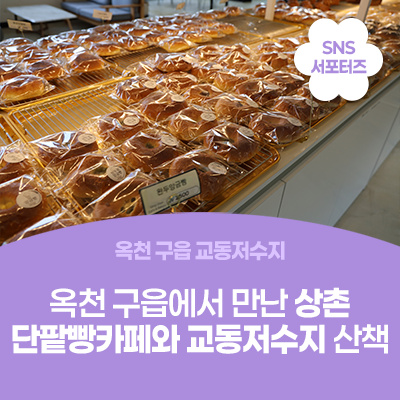 옥천 구읍에서 만난 상촌단팥빵카페와 교동저수지 산책 사진