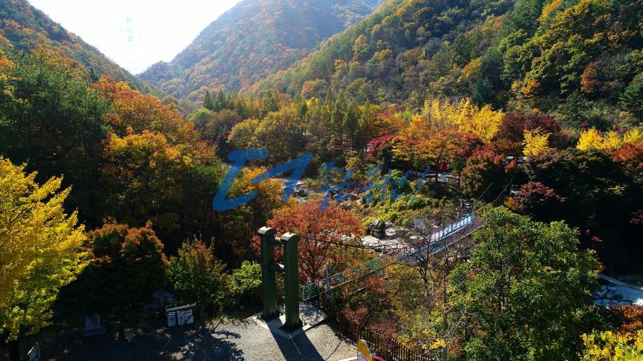장령산휴양림 3 번째 사진