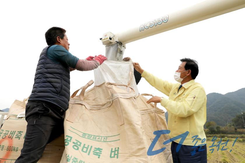 침수피해 농가 벼베기 작업현장 방문 2 번째 사진