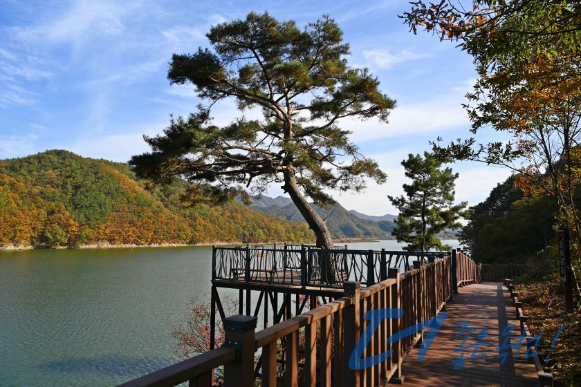 향수호수길（옥천8경）1