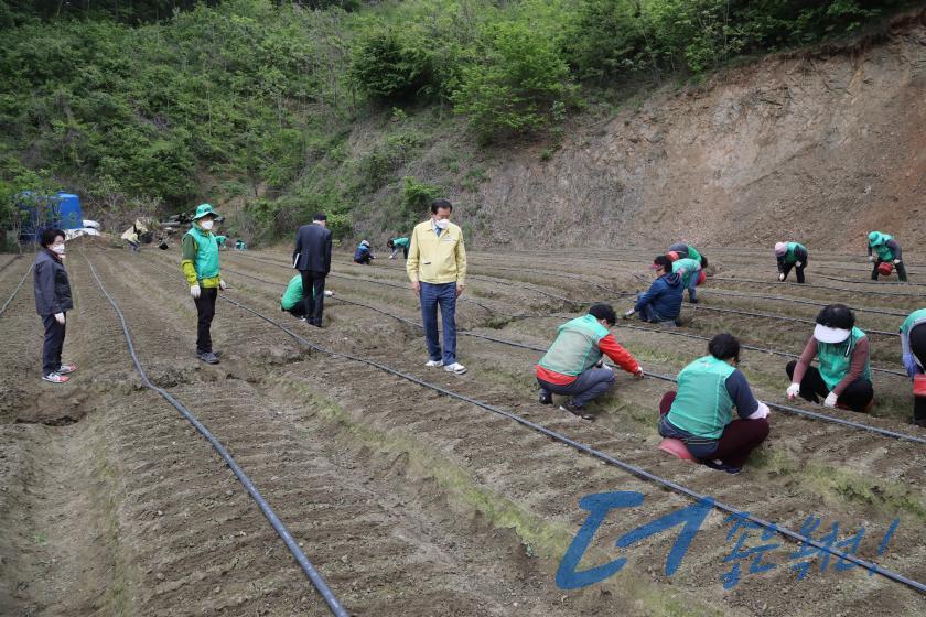 옥천군새마을회 생산적 일손봉사 참여 6 번째 사진