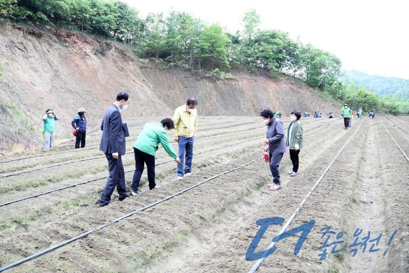 옥천군새마을회 생산적 일손봉사 참여 8 번째 사진