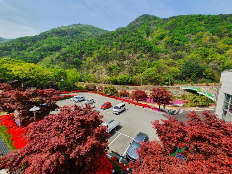 장령산휴양림 1 번째 사진