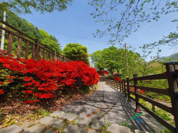 장령산휴양림 2 번째 사진