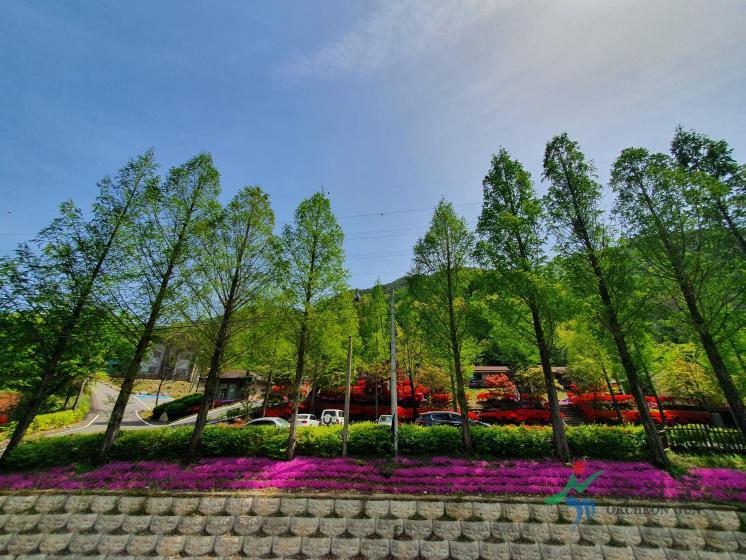 장령산휴양림 3 번째 사진