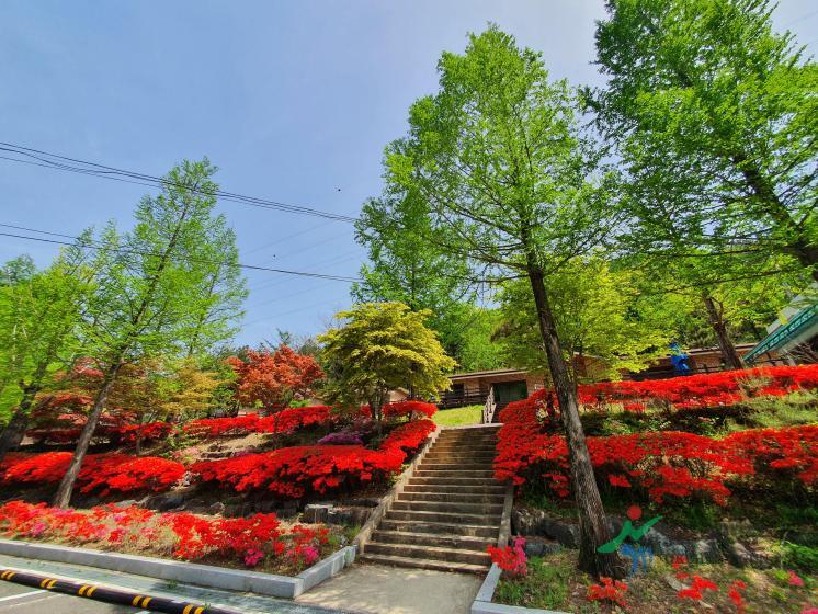 장령산휴양림 5 번째 사진