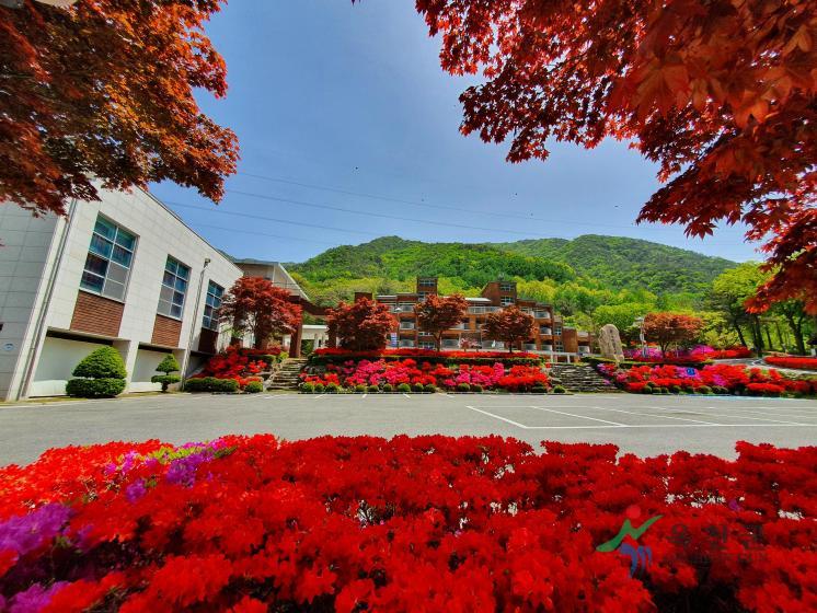 장령산휴양림 6 번째 사진