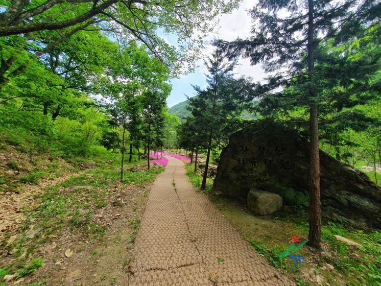 장령산휴양림 7 번째 사진