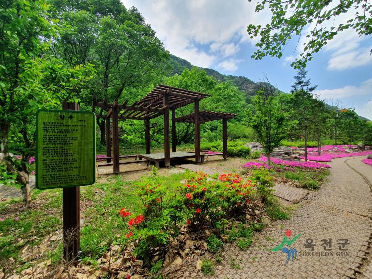 장령산휴양림8