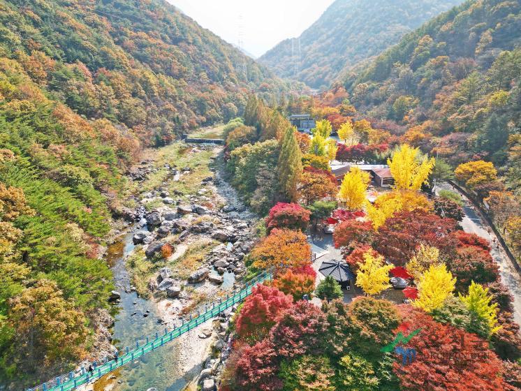 장령산휴양림13