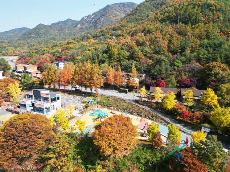 장령산휴양림15