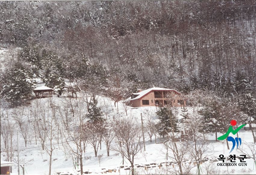 장용산설경 2 번째 사진