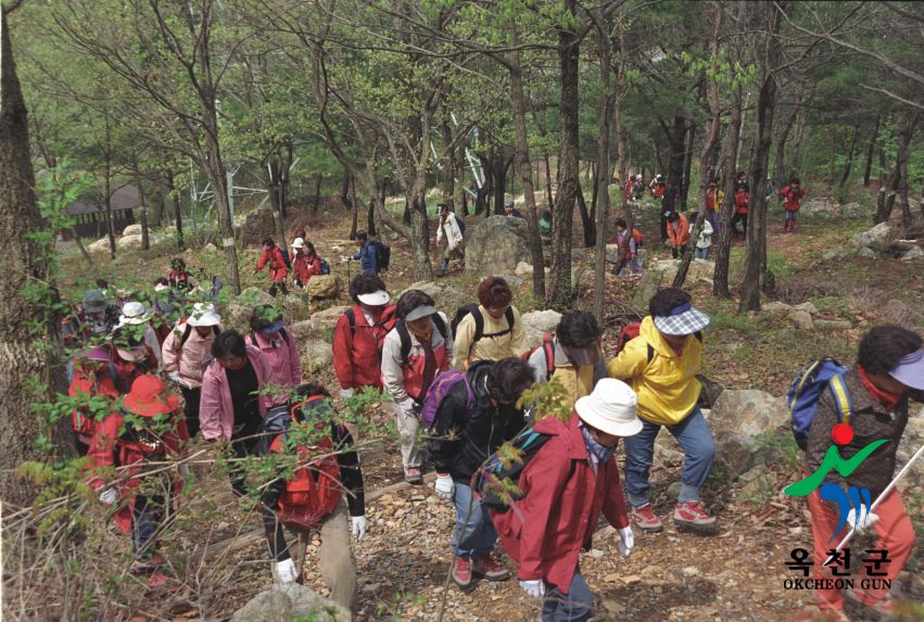 청주 주부클럽 장용산등반 13 번째 사진