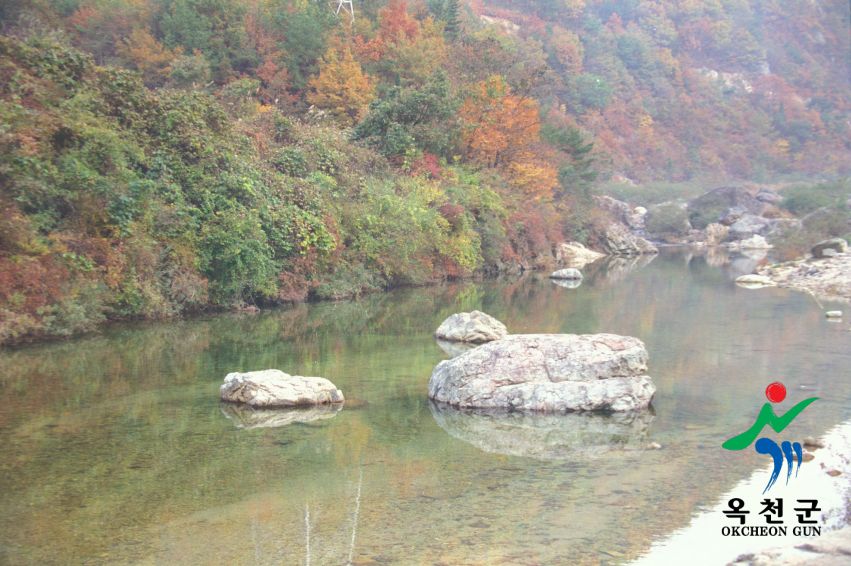 장용산 휴양림 4 번째 사진