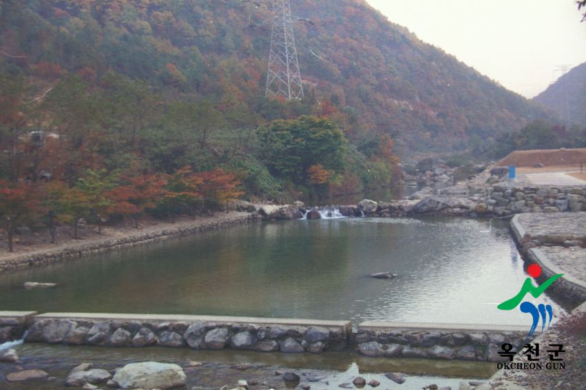 장용산 휴양림 5 번째 사진