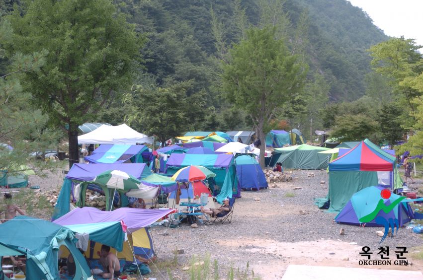 2005년 장용산 휴양림 13 번째 사진