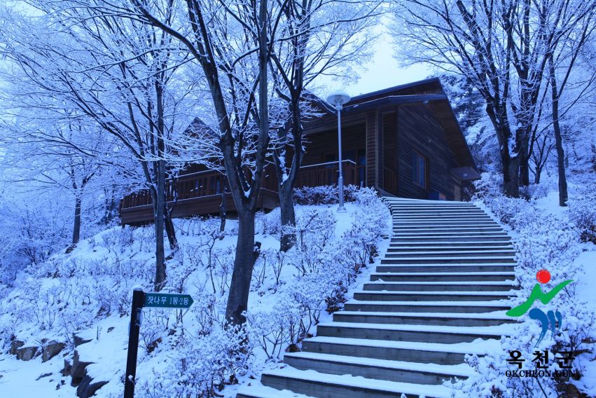 장령산 자연 휴양림 설경 3 번째 사진
