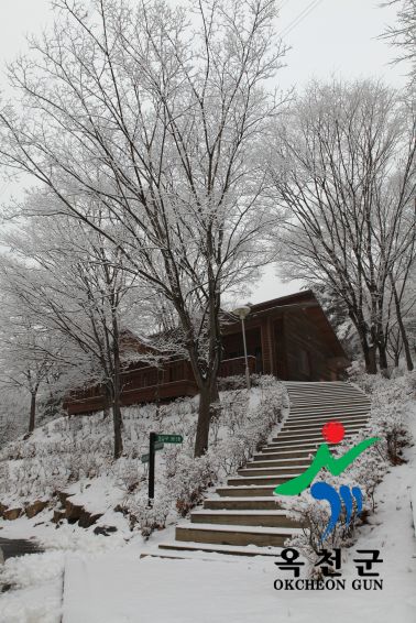 장령산 자연 휴양림 설경 1 번째 사진