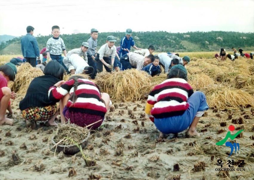 농축산 8 번째 사진