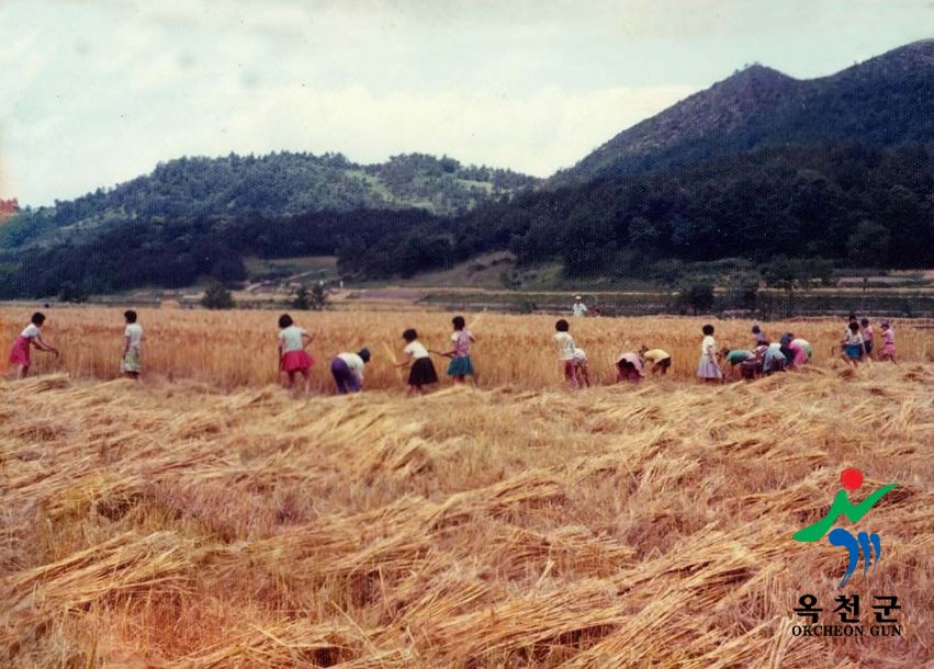 농축산15