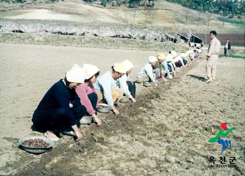 농축산 18 번째 사진