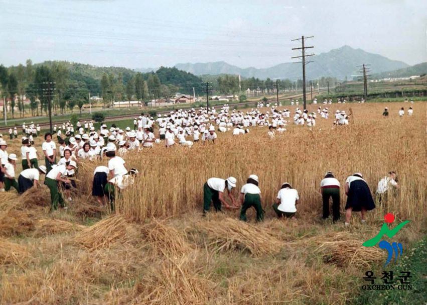 농축산22