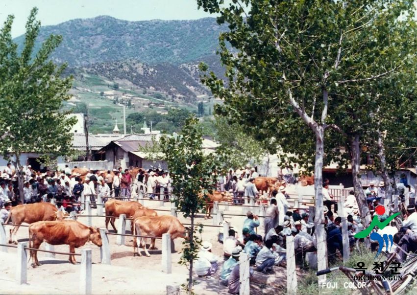 농축산24