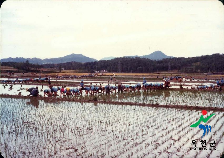 농축산30