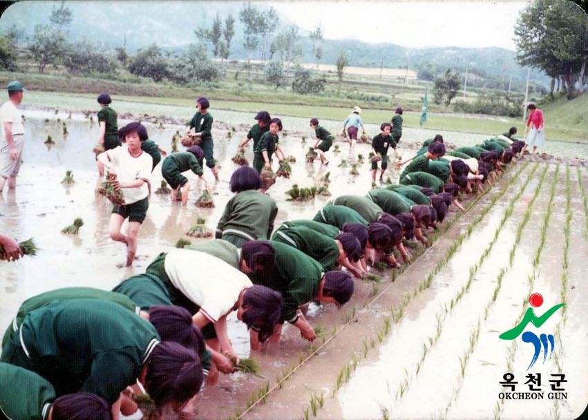 농축산34