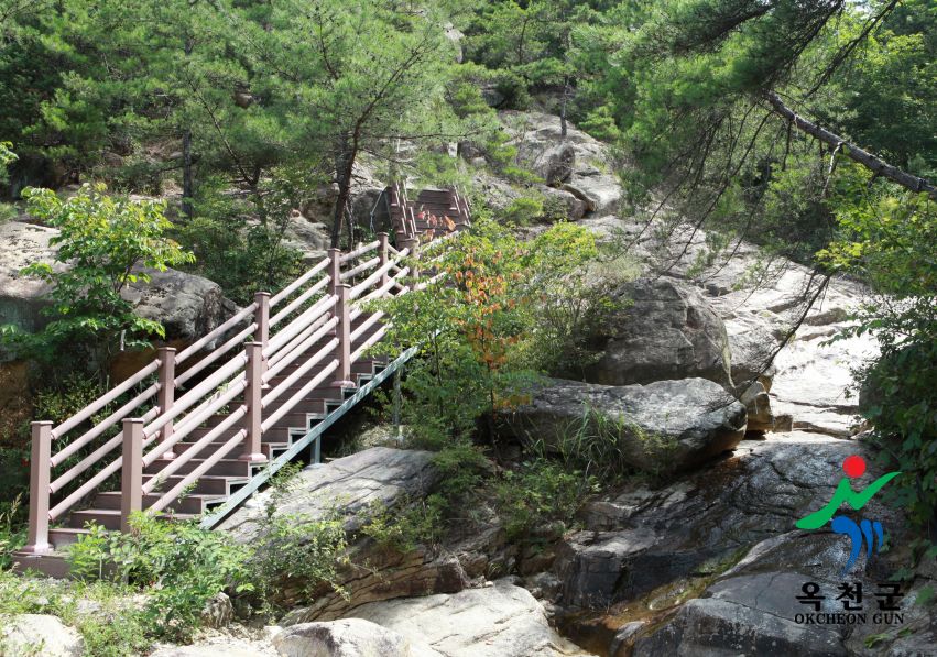 장령산휴양림4