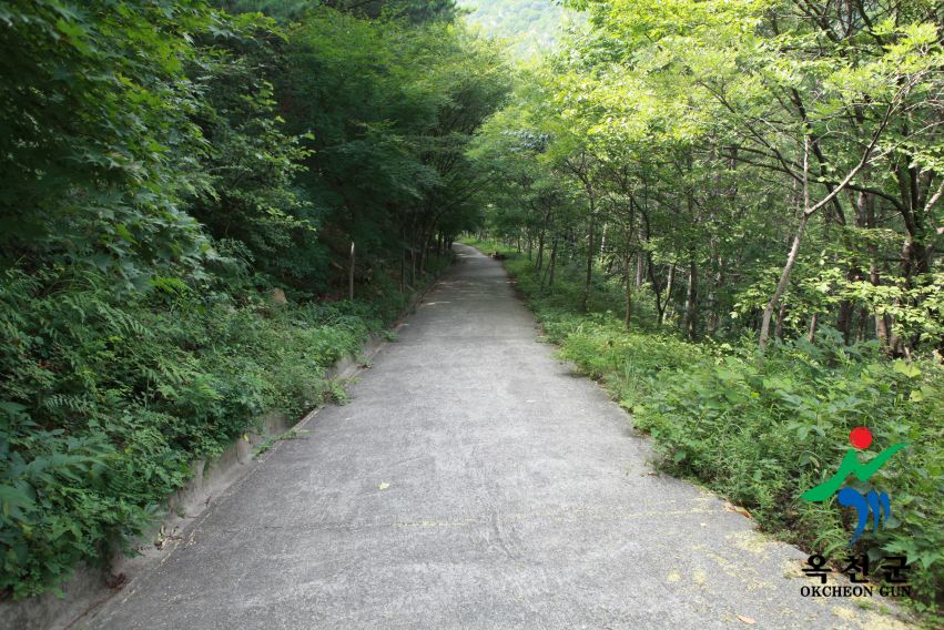 장령산휴양림 7 번째 사진