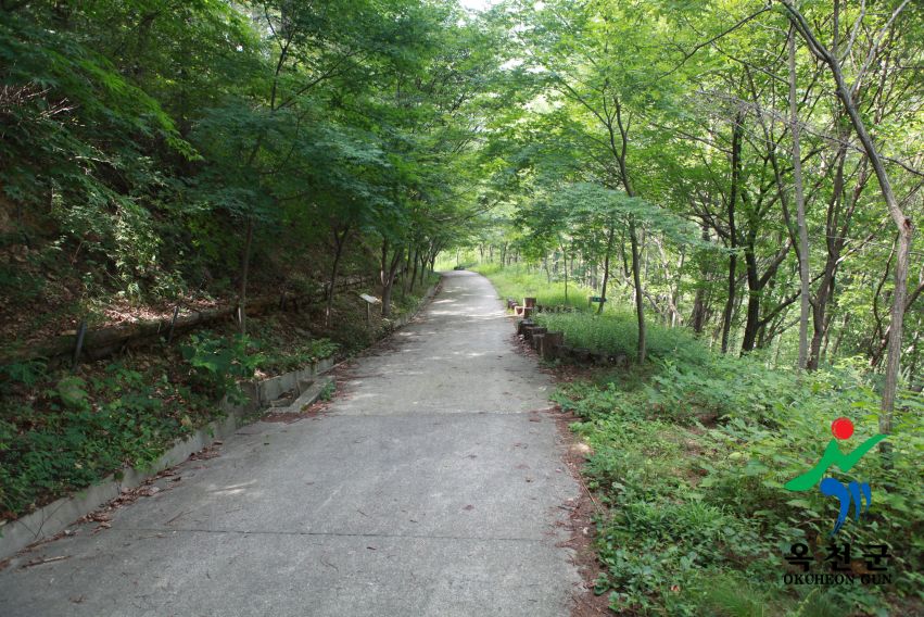 장령산휴양림 8 번째 사진