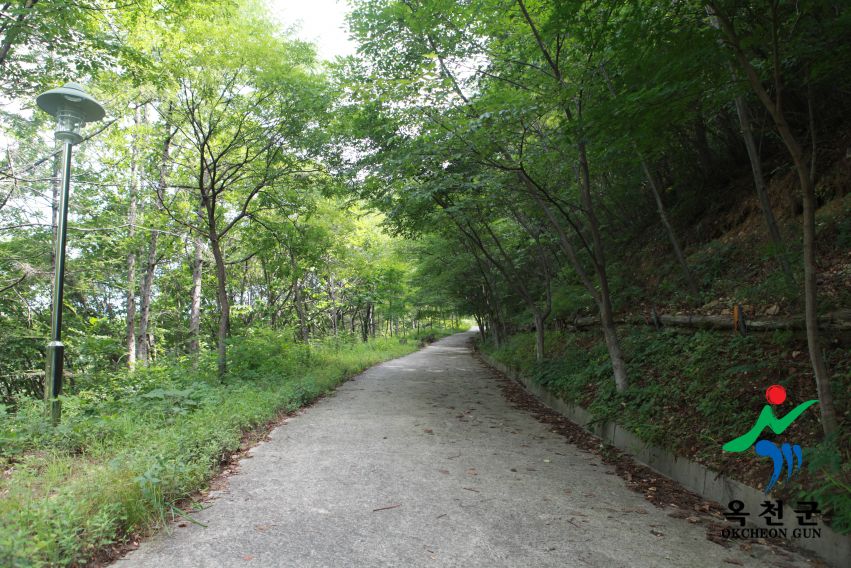 장령산휴양림8