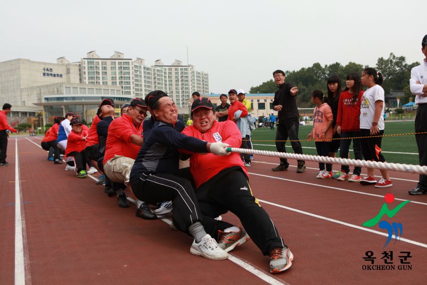 제37회 옥천군민체육대회 101 번째 사진