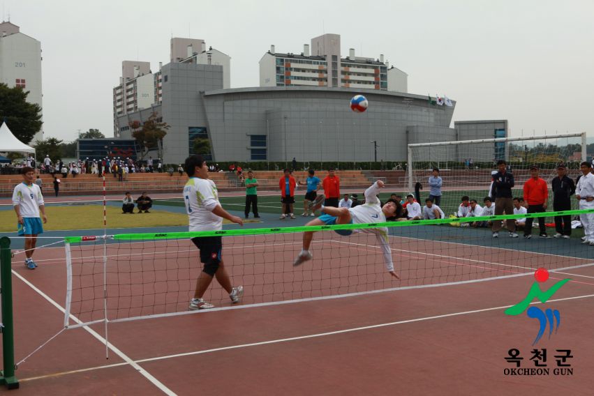 제37회 옥천군민체육대회 114 번째 사진