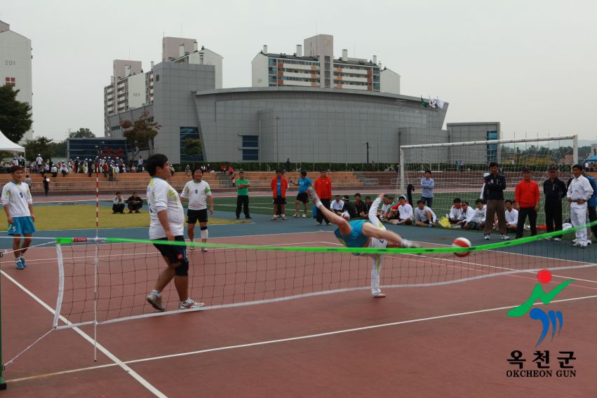 제37회 옥천군민체육대회 115 번째 사진