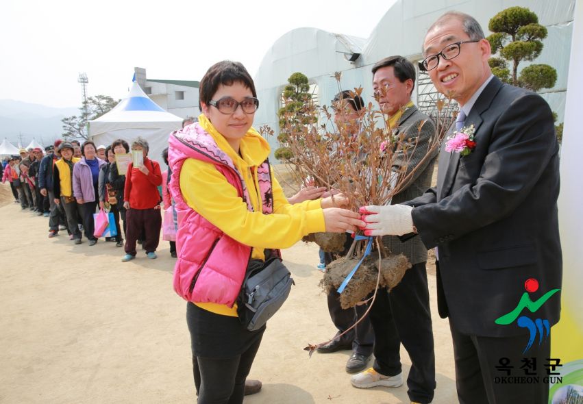 묘목축제 둘째날 2 번째 사진