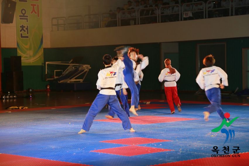 제38회 중봉충렬제（세계태권도연맹 시범단 시연） 3 번째 사진