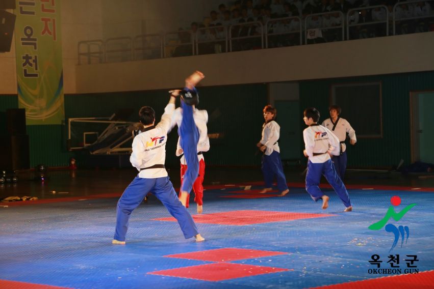 제38회 중봉충렬제（세계태권도연맹 시범단 시연） 4 번째 사진
