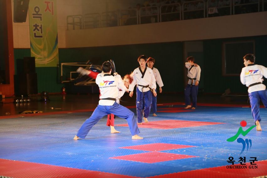 제38회 중봉충렬제（세계태권도연맹 시범단 시연） 5 번째 사진
