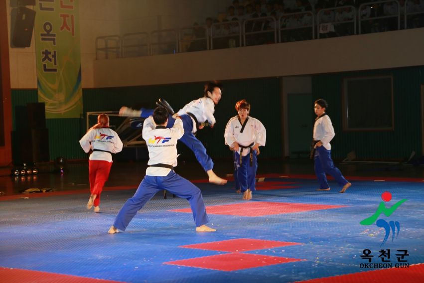 제38회 중봉충렬제（세계태권도연맹 시범단 시연） 6 번째 사진