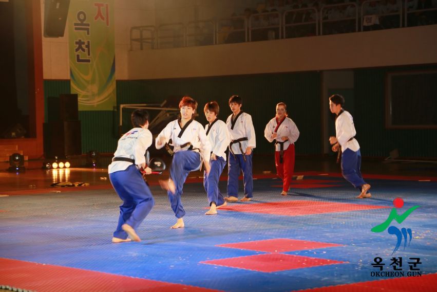 제38회 중봉충렬제（세계태권도연맹 시범단 시연） 7 번째 사진