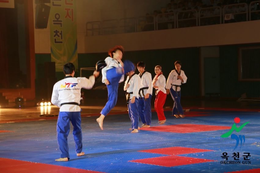 제38회 중봉충렬제（세계태권도연맹 시범단 시연） 8 번째 사진