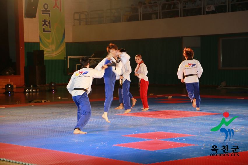 제38회 중봉충렬제（세계태권도연맹 시범단 시연） 9 번째 사진