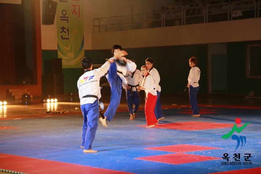 제38회 중봉충렬제（세계태권도연맹 시범단 시연） 10 번째 사진
