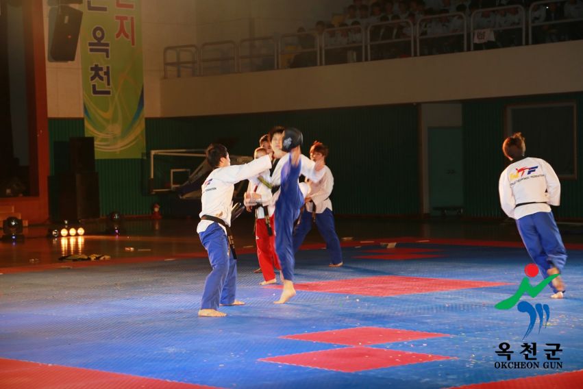 제38회 중봉충렬제（세계태권도연맹 시범단 시연） 11 번째 사진