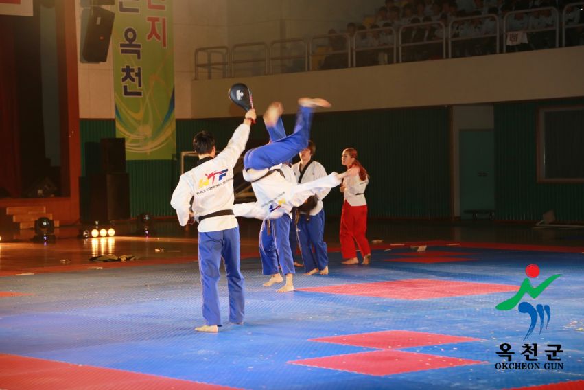제38회 중봉충렬제（세계태권도연맹 시범단 시연） 12 번째 사진