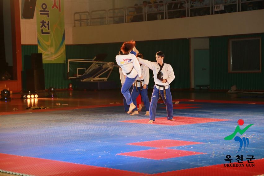 제38회 중봉충렬제（세계태권도연맹 시범단 시연） 13 번째 사진